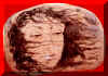 MONFARDINOp2.jpg (113012 byte)