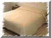 08b AM Serra.jpg (14629 byte)