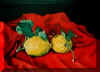 MONFARDINOva04.jpg (97617 byte)