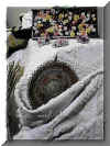 composizione2aml.JPG (62522 byte)