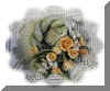 composizione6aml.JPG (42187 byte)
