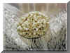 spilla_pane1.JPG (34512 byte)